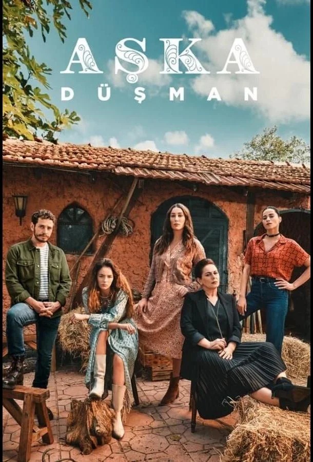 Постер Враг любви