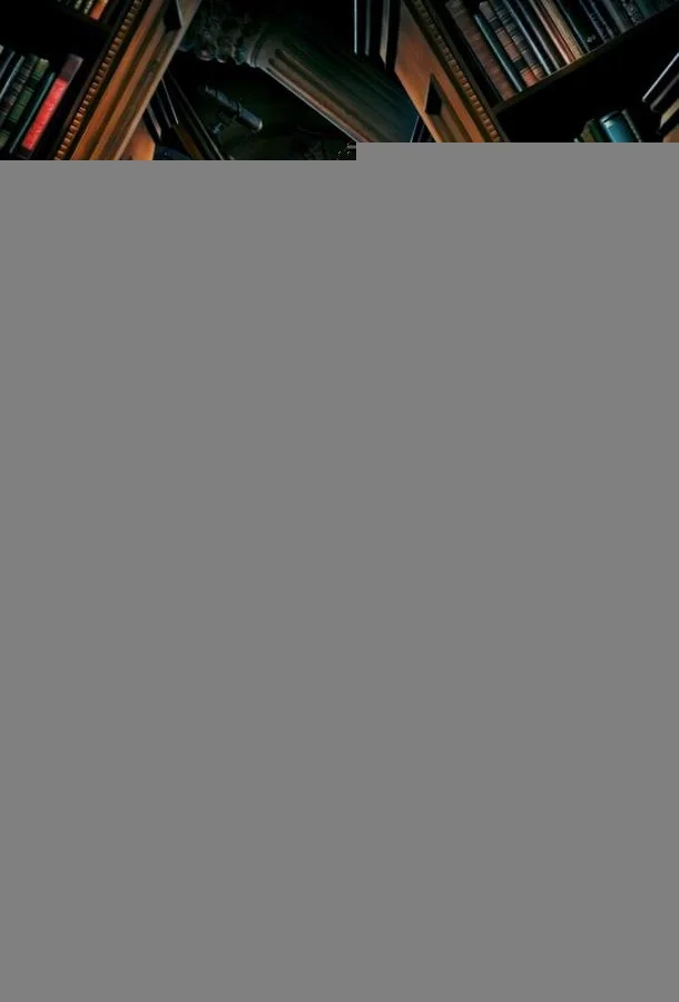 Библиотекари: Следующая глава