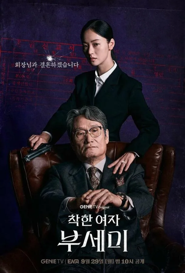 Постер Госпожа Инкогнито / Хорошая женщина Бу Се Ми