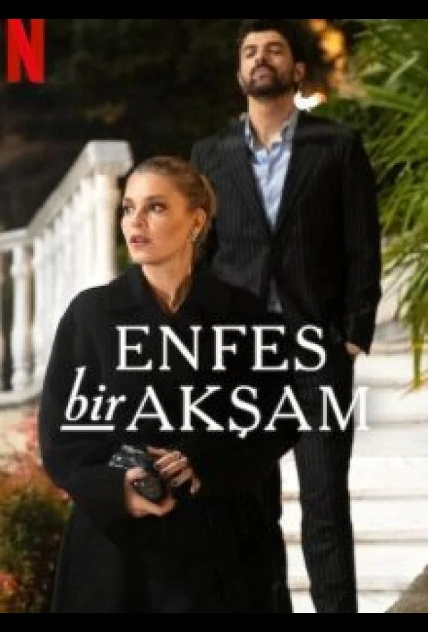 Постер Восхитительный вечер